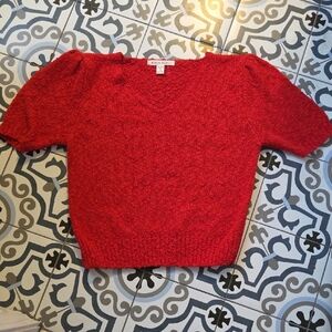 Karen Scott Cherry Textured Knit Top